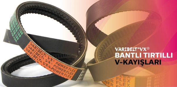 Varibelt
