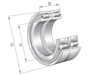 SL045030-D-PP